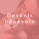 Pour devenir bénévole, cliquez ici.
